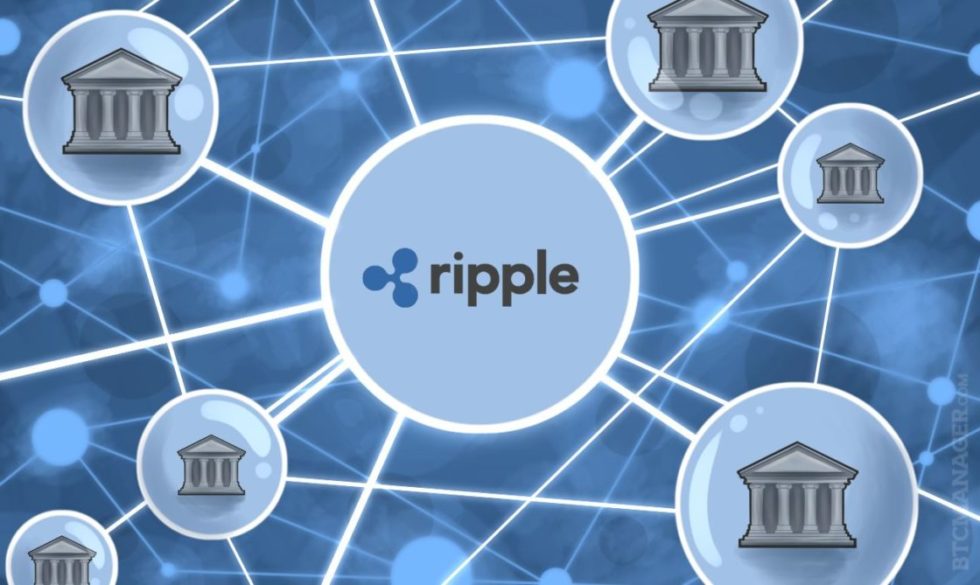 0_1518791276276_reseau-ripple.jpg