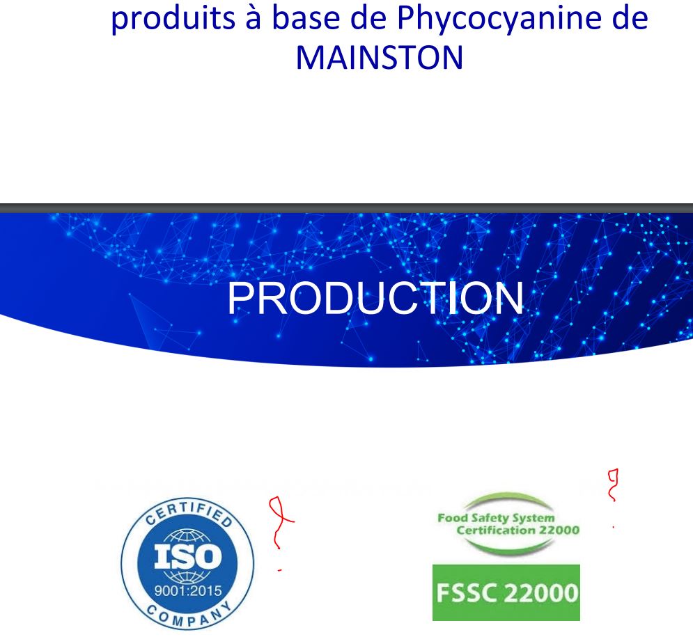 mainston-certified-iso-fssc22000.JPG