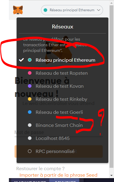 bsc-etherum-resau-metamask.PNG