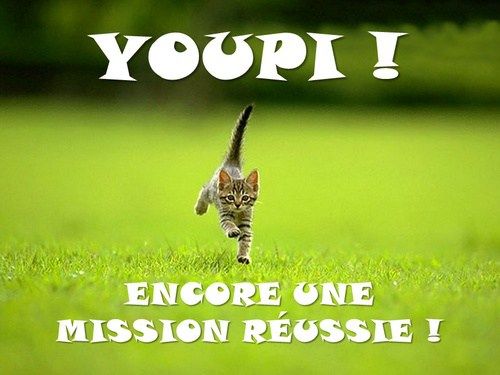 chaton-youpi-encore-une-mission-réussie.jpg