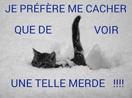 CHAT SE CACHE.jpg